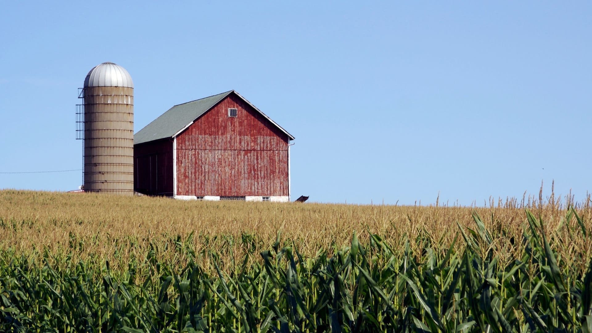 Legal Considerations for Farm Owners