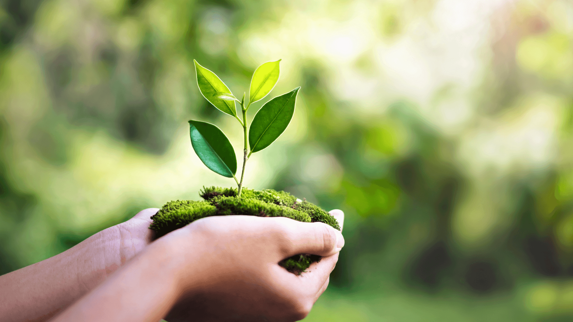 Why a Trust for Your Child Should Mature with Your Child